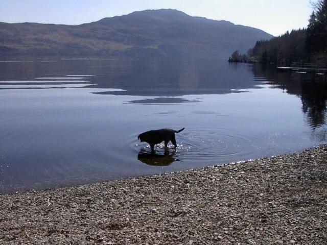Tigh Na Bruach B&B Invermoriston Ngoại thất bức ảnh